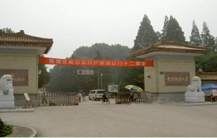 南京林業(yè)大學