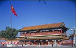 中南?；顒又行? /></a><p><a href=